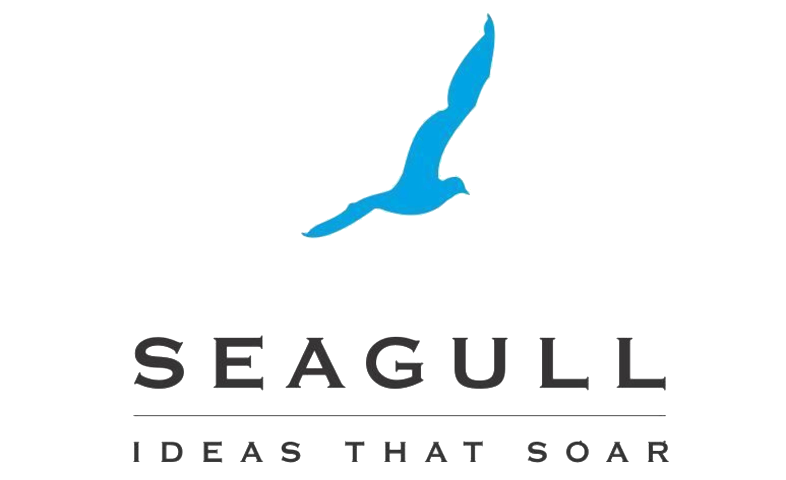 Seagull Sead Advertising — PrecisionTech Client
